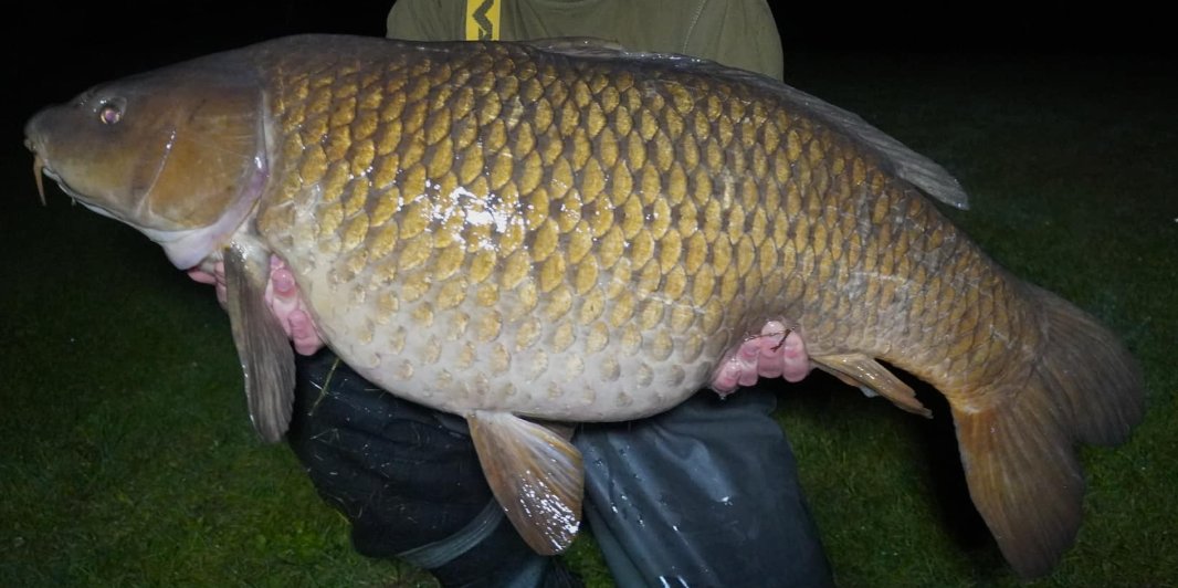 The Perfect Common
