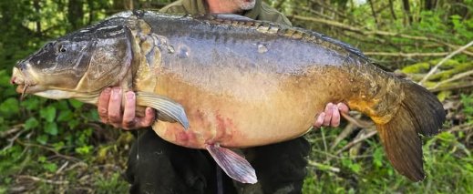 Three Scales
