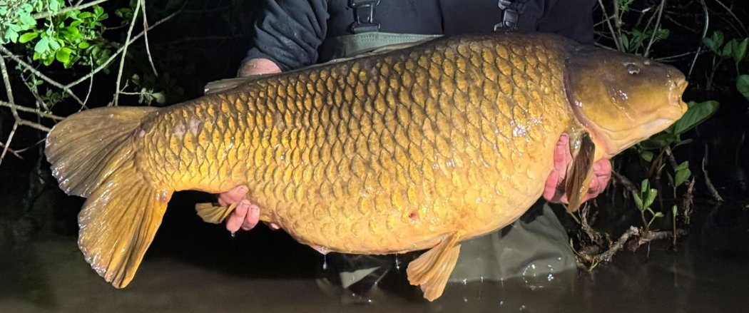 The Waterside Common