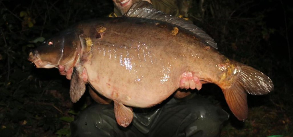 Lumpy