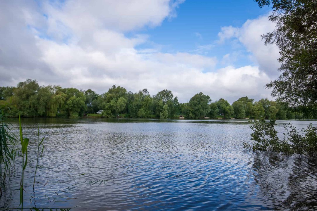 Swan Lake