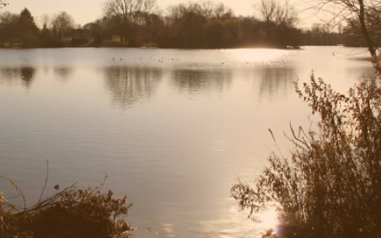 Burghfield main lake