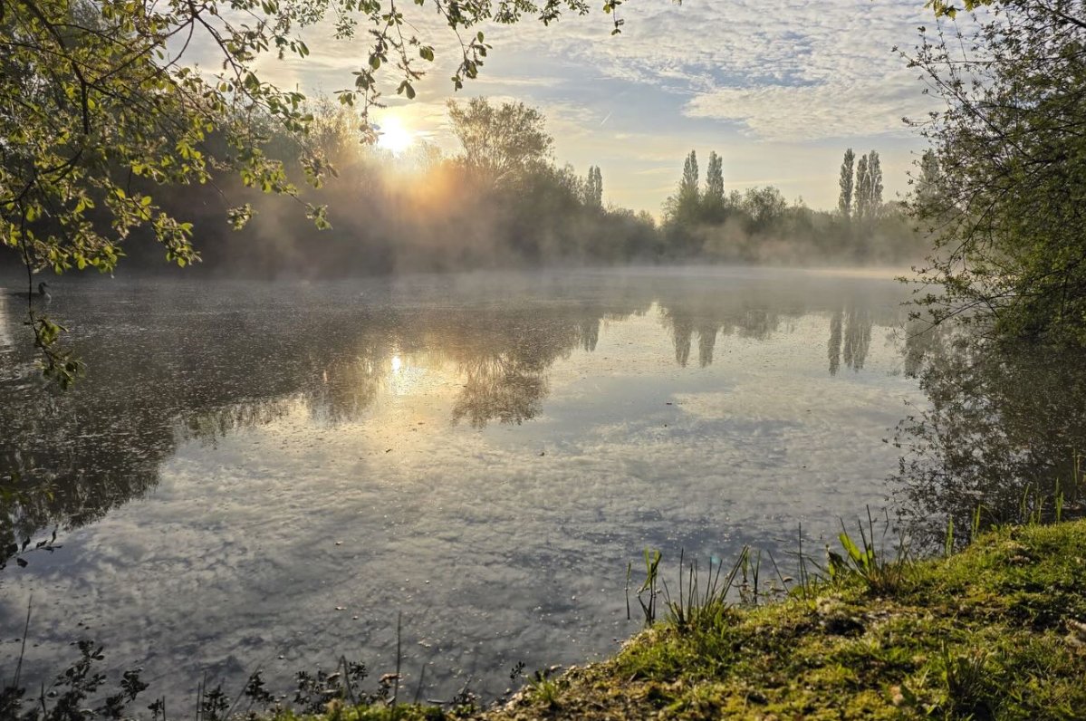 Ashmead Fishery