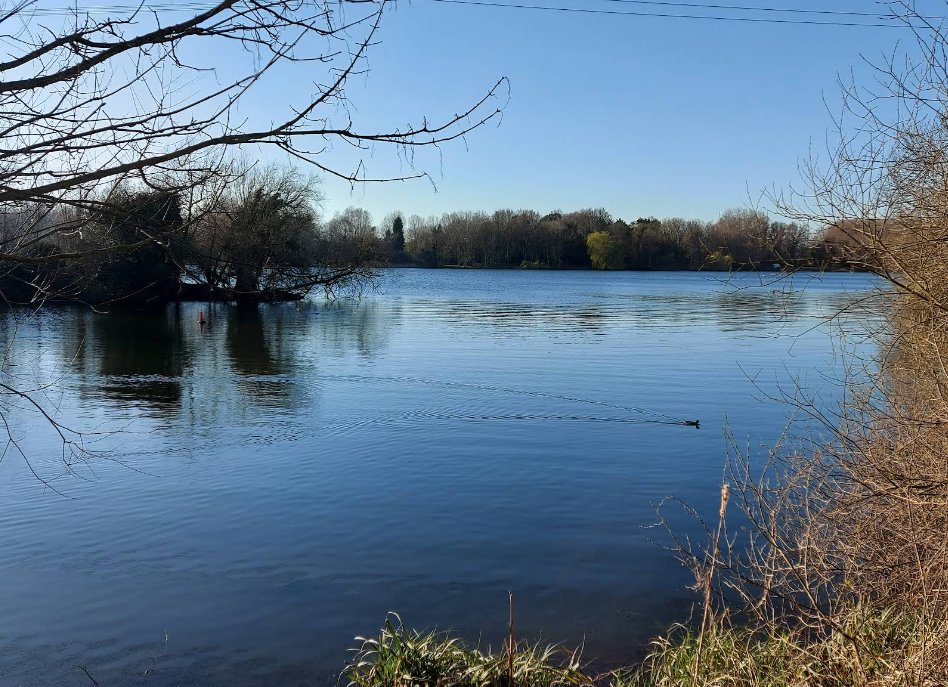 Nazeing Meads